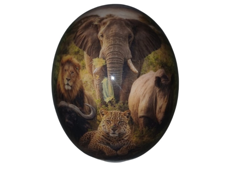 Big 5